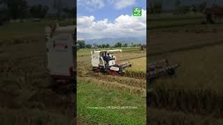 COMBINE MAXXI BIMO NDR 102L GRAINTANK #shorts