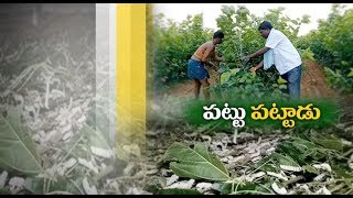 Jaikisan AP | 14th Oct'19 | పట్టు పురుగుల పెంపకంలో పట్టు సాధించిన అనంత రైతు