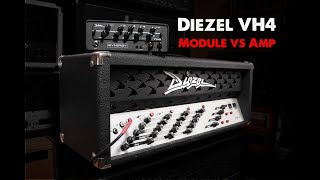 Synergy VH4 vs Diezel VH4 - Can the Synergy module go toe to toe with the legend?