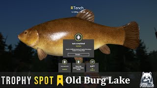 Russian Fishing 4 | Old Burg Lake trophy Tench spot