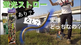 【検証】東京・荒川でウナギ釣り！2種類の仕掛けで釣果に差がでる？