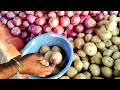 anantapur old town vegetable market enjoyvlogs @jackpotjeevan teluguvlogs latestupdate