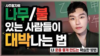 사주에 나무나 불이 있으면 이걸로 대박날 수 있습니다 ㅣ사주로 보는 내 성공 시나리오