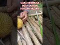 cara membuka buah durian dengan mudah