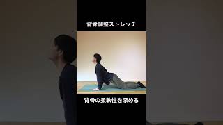 【背骨調整ストレッチ】　ヨーガ・ピラティス：ボディワーク #shorts