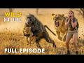 Win or Die (FULL EPISODE) | Deadliest Battles for Survival | Animal documentary