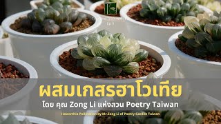 ทริปแอนด์ทริคกับเอ๊ด Ep9 ผสมเกสรฮาโวเทีย โดย Zong Li [Haworthia Pollination]