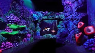 [4K - Extreme Low Light] Crush's Coaster - On Ride - Disneyland Paris