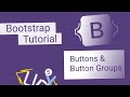 Bootstrap 5 Course: #5: Buttons And Button Groups