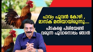 പാവം പൂവൻ കോഴി ,മാസ്ക് മതിയായിരുന്നു ....പിടകളെ പിരിയേണ്ടി വരുന്ന പൂവാനൊപ്പം ഞാൻ