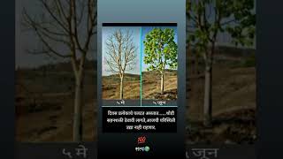 दिवस प्रत्येकाचा येत आसतो #motivation #shorts #status #viralvideo