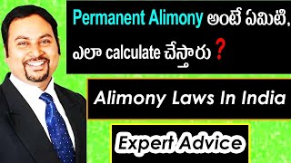 🔴 Difference Between Permanent Alimony & Maintenance | How Permanent Alimony Calculated in Telugu