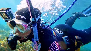 A Relaxing Dive with my BLU3 NEMO (OrcaTorch D530V First Dive) 🐠