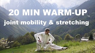20 MIN TAI CHI WARM UP AND STRETCH - Joint Mobility, Stretching & Relaxation as an Anti Aging System
