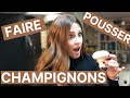 COMMENT FAIRE POUSSER DES CHAMPIGNONS