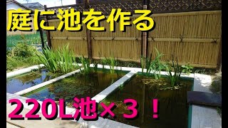 【ﾋﾞｵﾄｰﾌﾟ】庭に池を作る！220Lﾌﾟﾗ舟ﾋﾞｵ×３設置動画！