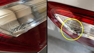 Customer States Remove Cockroach From Tail Light | Just Rolled In