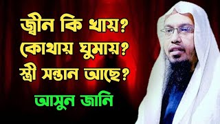 জ্বী*ন সম্পর্কে কিছু গুরুত্বপূর্ণ কথা। Shaikh Ahmadullah