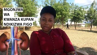 MGONJWA WA KWANZA KUPANDIKIZWA FIGO MUHIMBILI AFUNGUKA