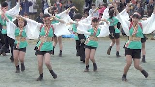 team清門 - 新清界 [2017.04.02 清門町会桜まつり 草加市清門北公園 よさこい]