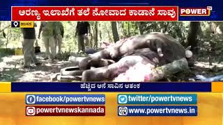 ಹಾಸನ ಜಿಲ್ಲೆ ಸಕಲೇಶಪುರದಲ್ಲಿ ಮತ್ತೊಂದು ಆನೆ ಸಾವು |Power TV NEWS