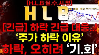 [HLB]  [속보] 하락 긴급 분석 대응! \