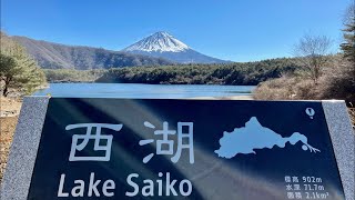 西湖の富士山…いやしの里根場【ユーチューブLive】