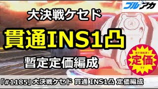 【ブルアカ】大決戦ケセド 貫通INS1凸 暫定定価編成 (27,558,144/INSANE/屋外戦)【ブルーアーカイブ】