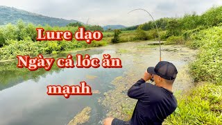 Cách Vào Dù Câu Lure - Đi Lure Dạo Ngày Giao Mùa