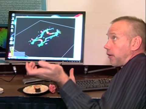 Demonstration Scientific Computing And Visualization For Medical Image