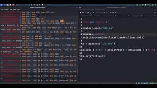 CIS 311 - Buffer Overflows, Example 2