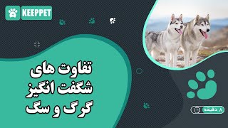 تفاوت های شگفت انگیز گرگ و سگ