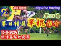 〖賽日精選單棍〗13-11-2024 快活谷草地夜賽 - 提供第 4 場: WP馬胆 + 單棍配腳 #大米講馬