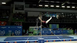 DOBROVITZ Adam (HUN) - 2019 Artistic Junior Worlds, Gyor (HUN) - Qualifications Horizontal Bar