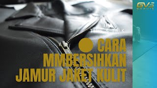 Cara membersihkan Jamur pada Jaket kulit (WAJIB TAHU INI) jaket seperti Baru lagi