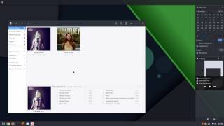 Budgie Rewrite: Development Update