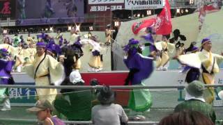 備後ばらバラよさこい踊り隊(びんばら) 本家高知よさこい２００９ １２日中央公園 mususukunjp