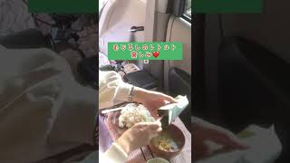 車中ランチ🍛無印良品のグリーンカレーをたべる