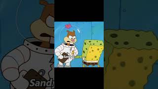 SpongeBob is actually a serial killer!#spongebob #theory#spongebobsquarepants #cartoon