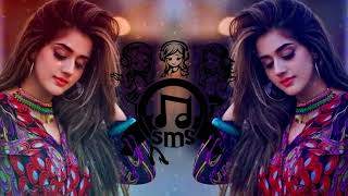 'Desi Look' FULL VIDEO Song | Sunny Leone | Kanika Kapoor| Remix by @SMSMusic1 | Lyrics | DJ