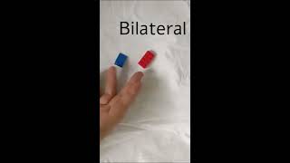 The meaning of Bilateral in International Relations