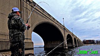 Fishing for BRIDGE MONSTERS Using FROZEN Shad - I Made a ROOKIE Mistake!