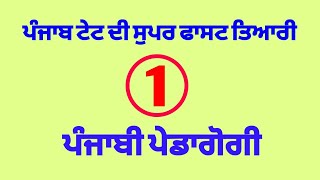 Free Punjabi Pedagogy ਦੀ ਸੁਪਰ ਫਾਸਟ ਤਿਆਰੀ Part-1