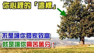 你心裡有一棵「慾望之樹」嗎？戰勝他，你就可以成為人生的贏家！