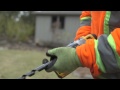 Bracing Bolt Installation for Tree Preservation | Cohen & Master