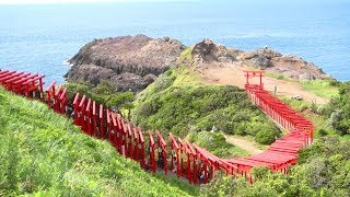 CNNで注目され観光客激増！絶景の元乃隅稲成神社