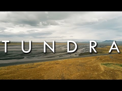 Do tundras have hot summers?