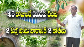 17 ఎకరాల్లో ప్రకృతి పంటలు | ఆర్గానిక్ దొండ సాగు | Integrated Farming | Ramanjaneya Reddy