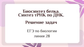 Задачи на биосинтез белка: синтез тРНК по ДНК (задание 28 ЕГЭ по биологии)