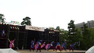 うらじゃ連　路鬼　YOSAKOI高松祭り2017中央公園メイン2日目